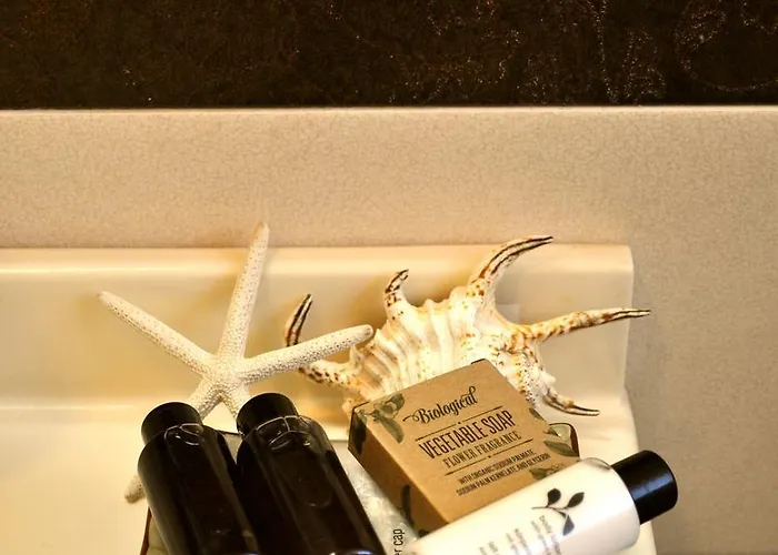 Hotel Etruria Forte dei Marmi